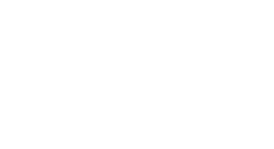Own the beach