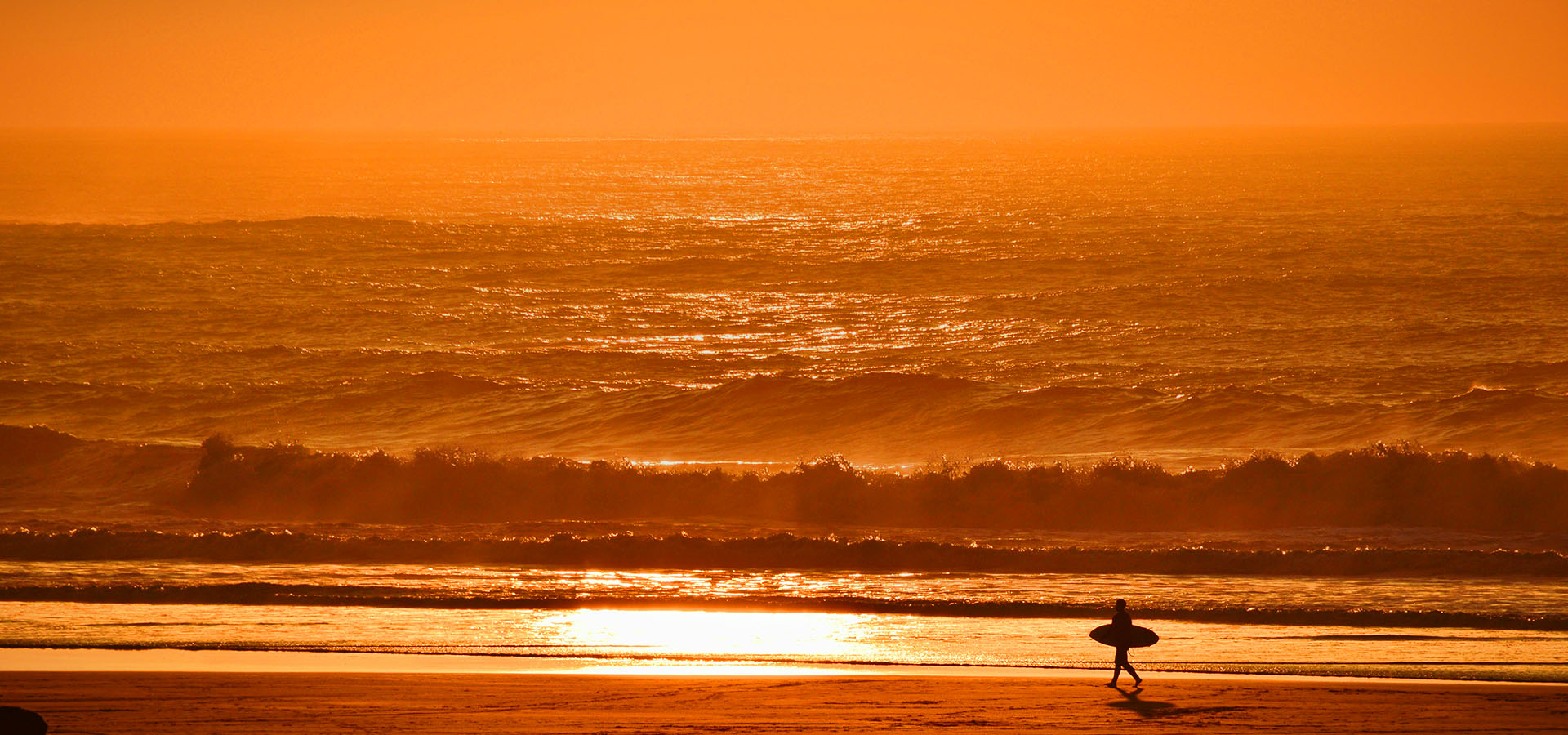 Today Only Enjoy Free Shipping