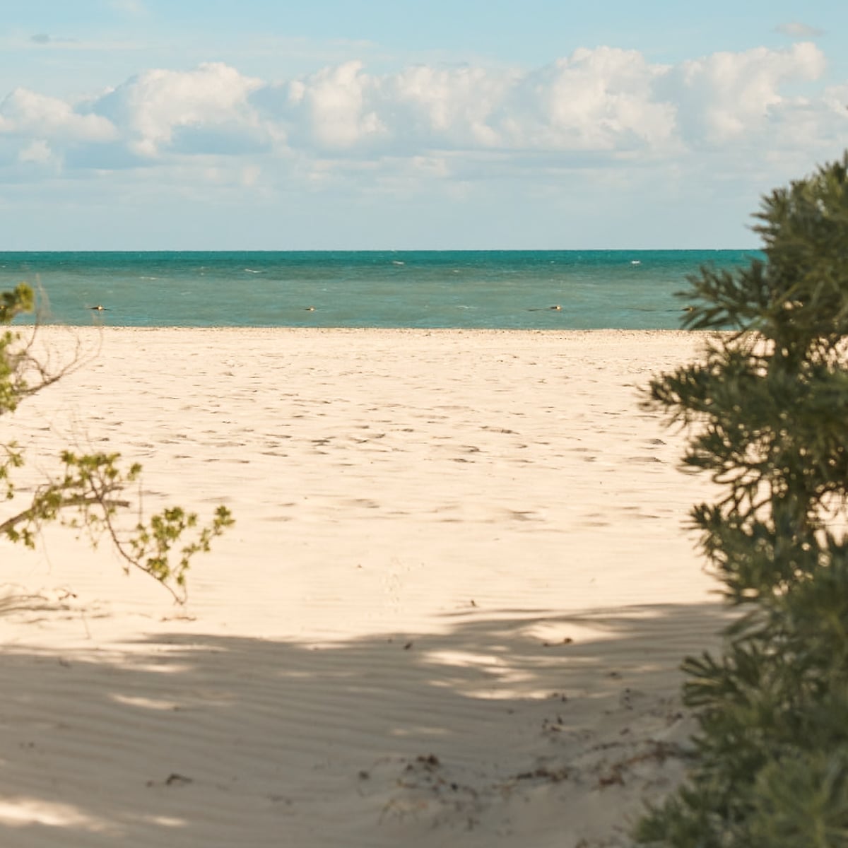 Beach Destinations