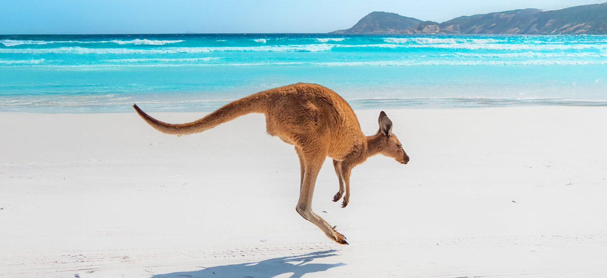 Kulani Kini Contest Promo