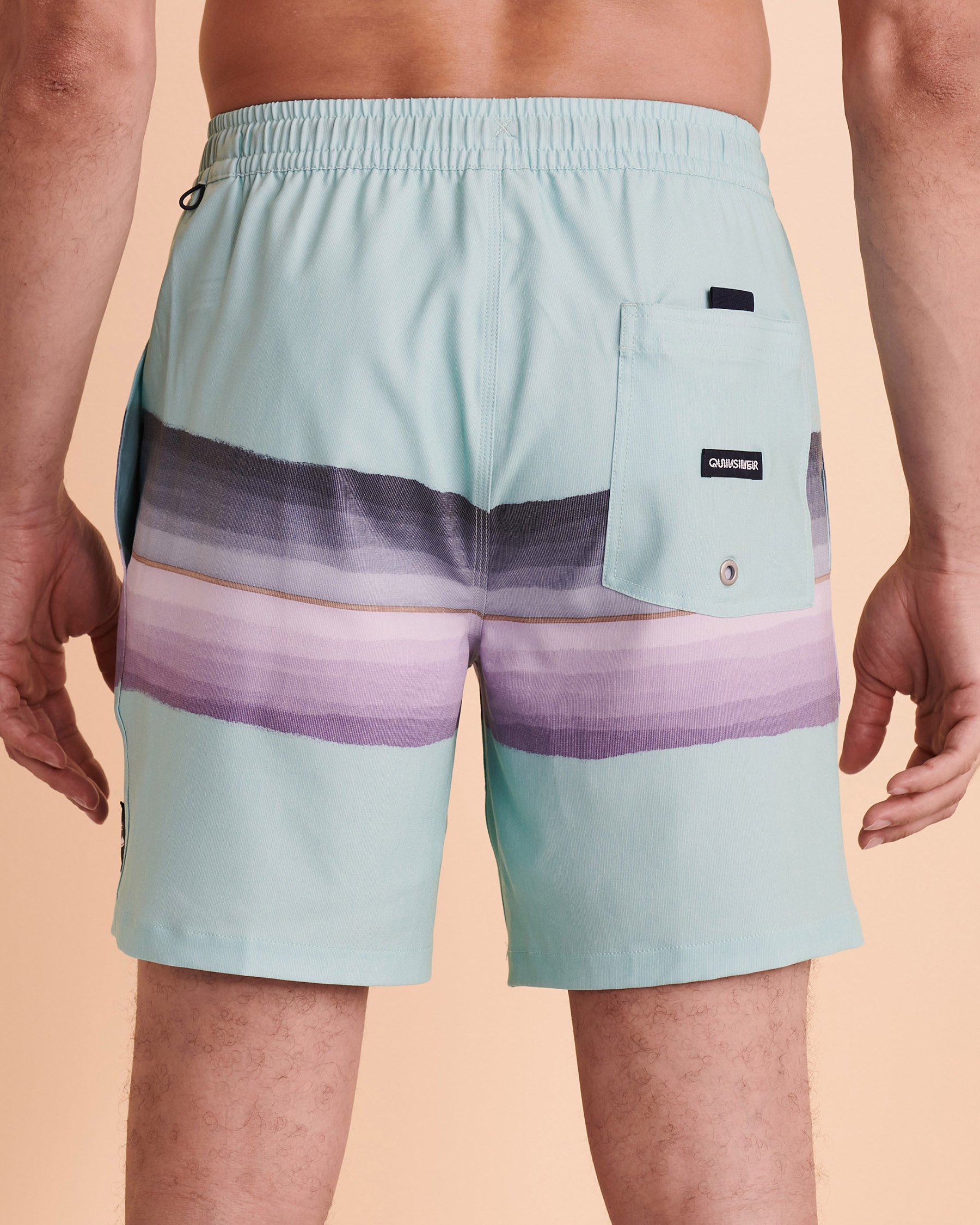 QUIKSILVER RESIN TINT Volley Swimsuit Colorblock EQYJV03890 - View2