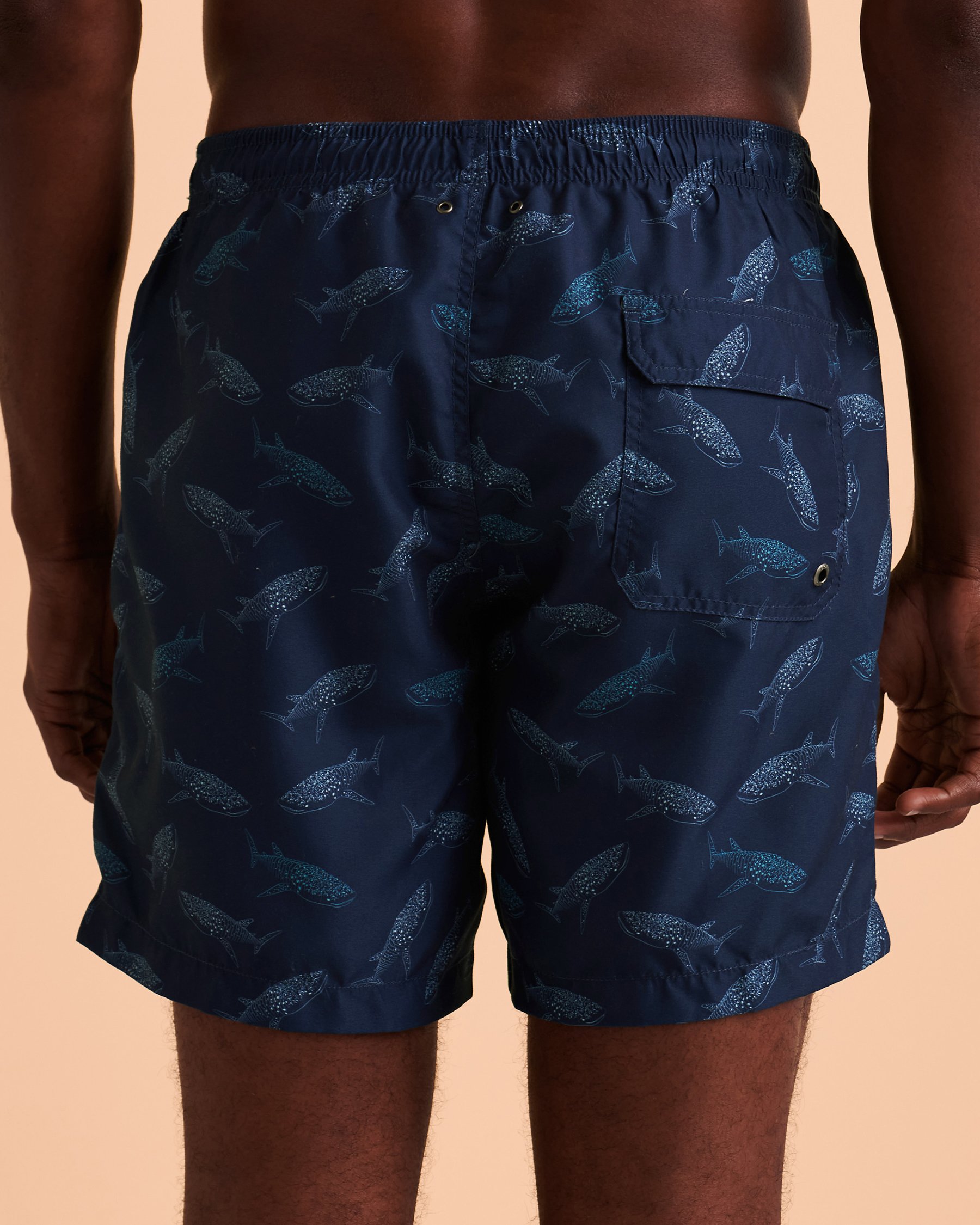 BOTO CABO Swim Trunks Sharks 814133 - View3