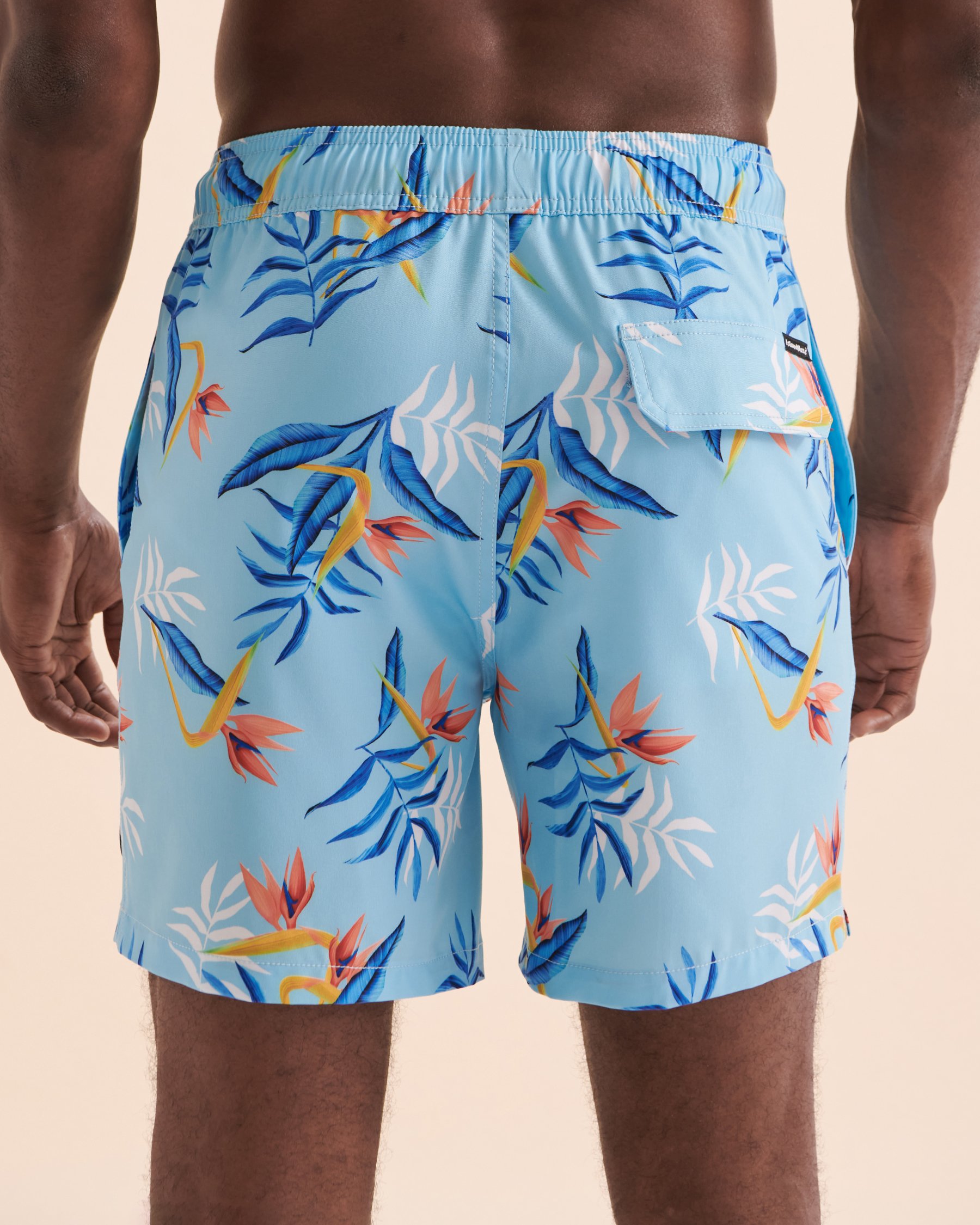 ISLANDHAZE Blue Bird Volley Swimsuit Tropical Blue MB424021 - View4