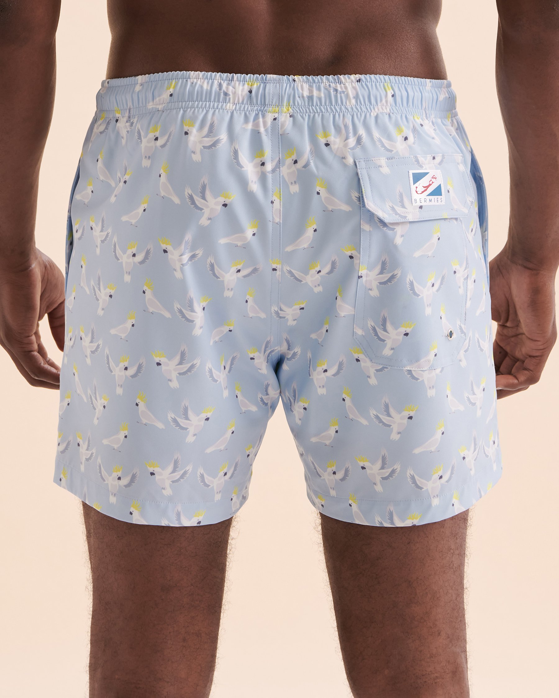 BERMIES Cockatoo Volley Swimsuit Blue light CKATOO-CLAL - View5
