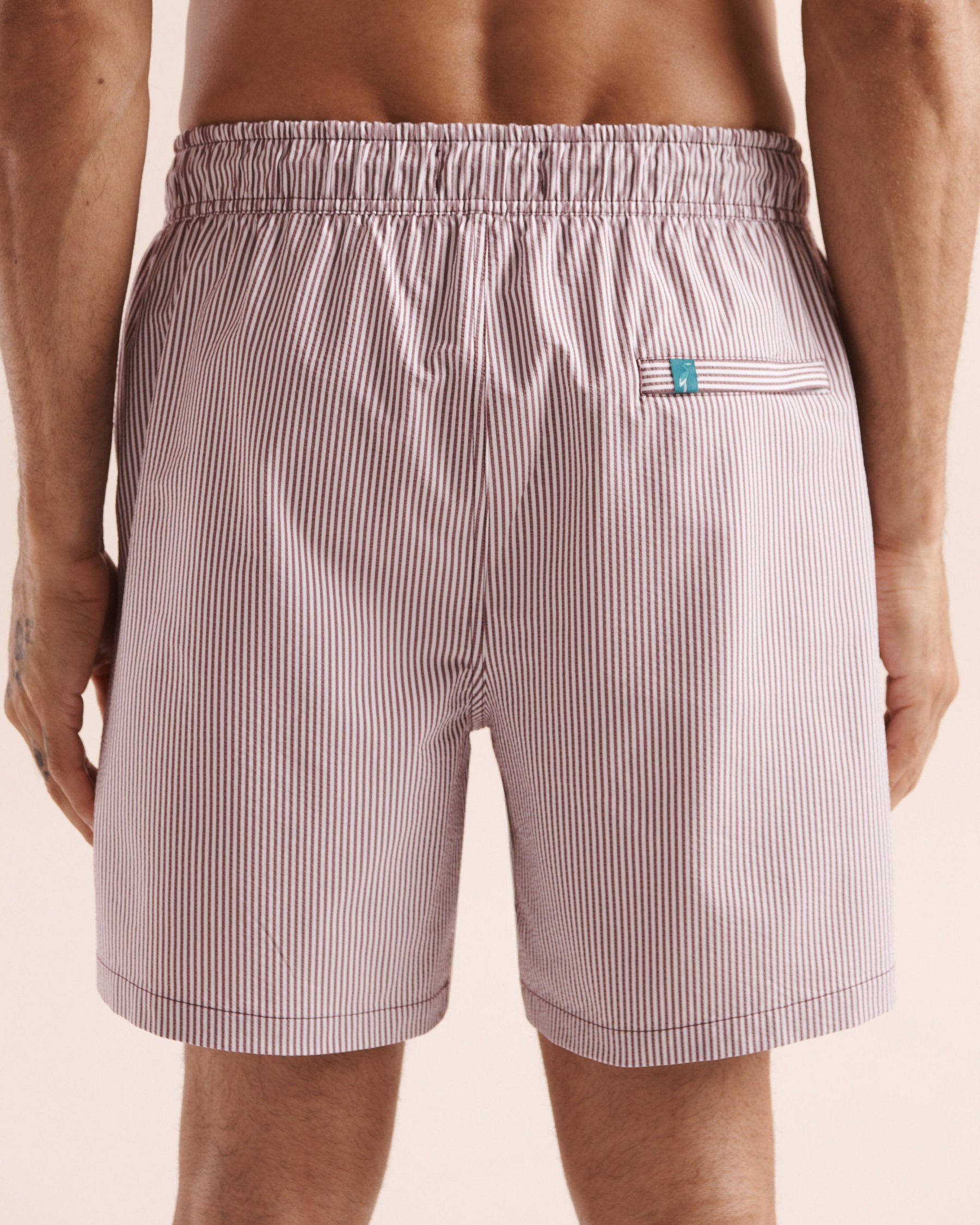 SHORELINE SEVEN Stripe Compressive Liner 6'' Seersucker Volley Swimsuit Violet 03100095 - View4