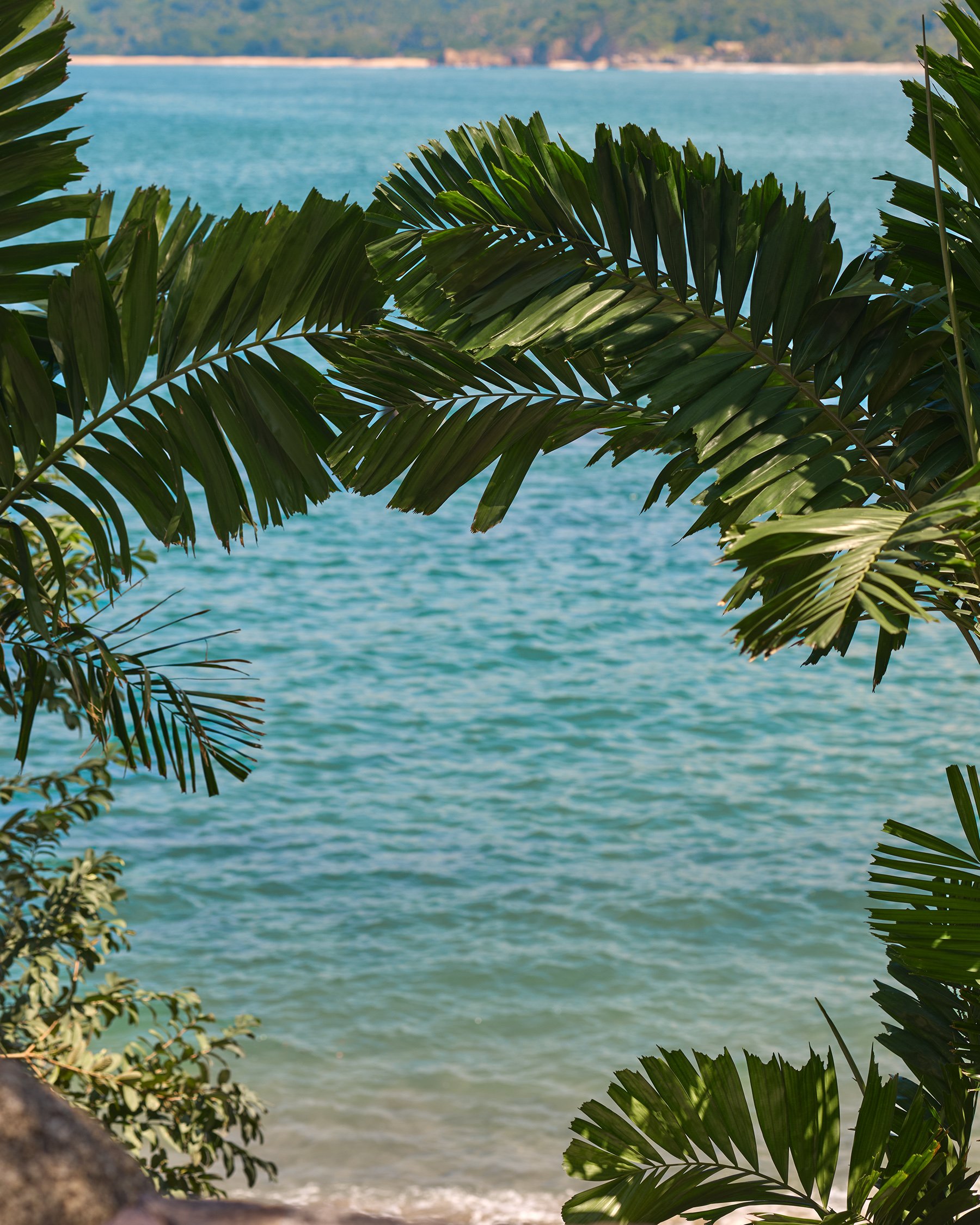 COSTA DEL REY Leaf Bandeau Jumpsuit Black 02300185 - View2