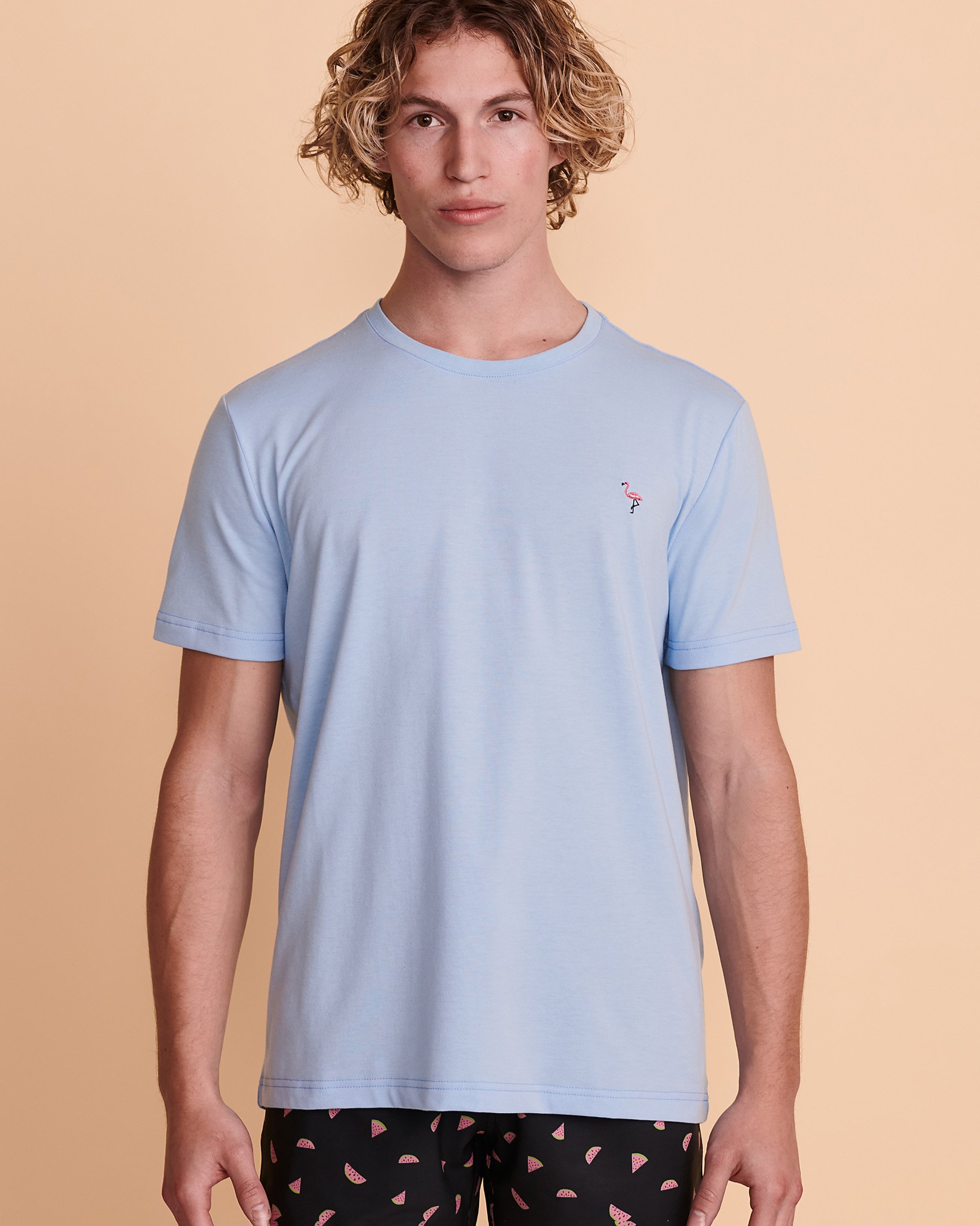 BERMIES Chandail manches courtes FLAMINGO Bleu pâle FLAMINGO TSH - Voir2