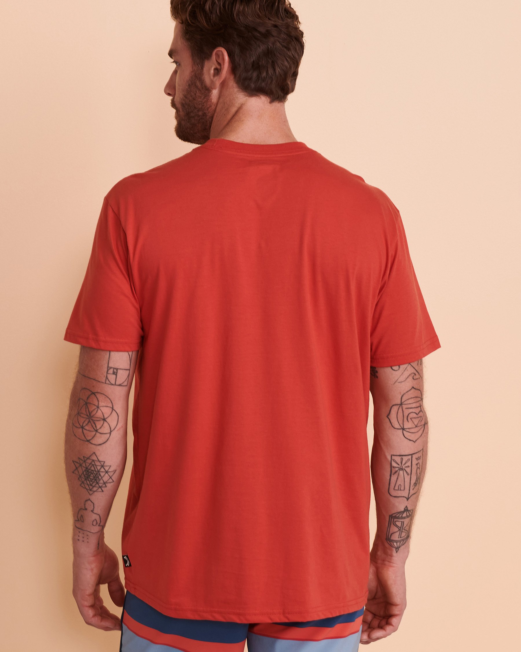 BILLABONG Chandail manches courtes STACKED ARCH Rouge délavé ABYZT00797 - Voir2