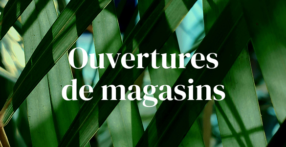 Catégories Ouvertures de boutiques du blogue #mybikinistory