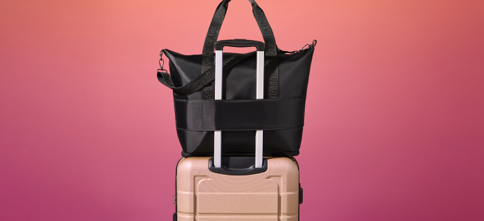 Sac de voyage à 25$