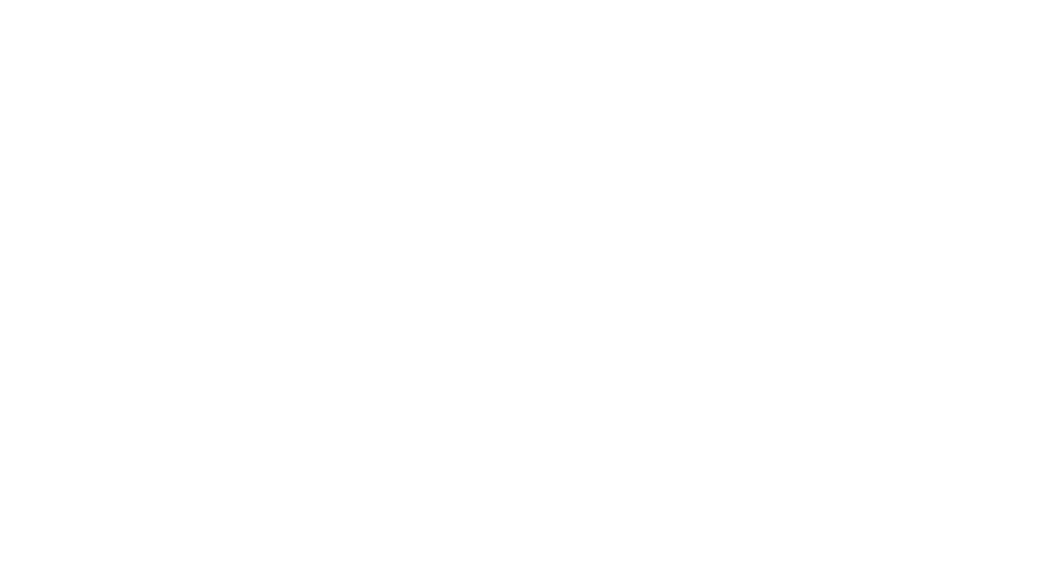 Own the beach
