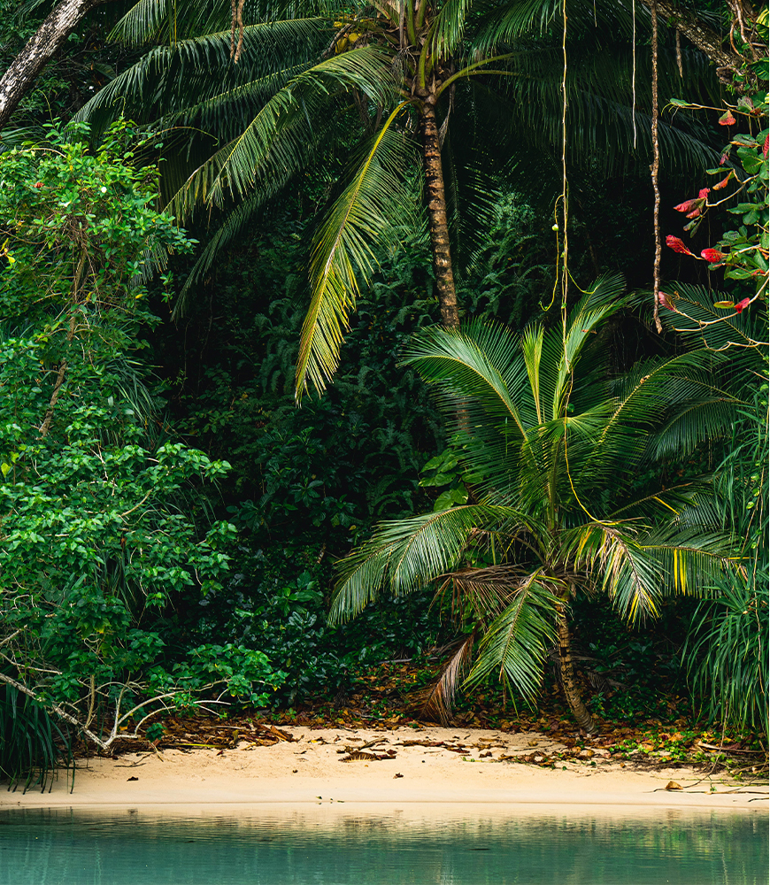 Jamaica