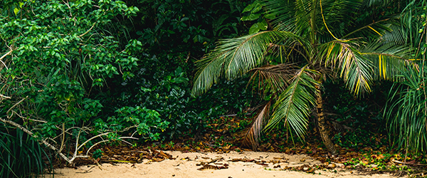Jamaica