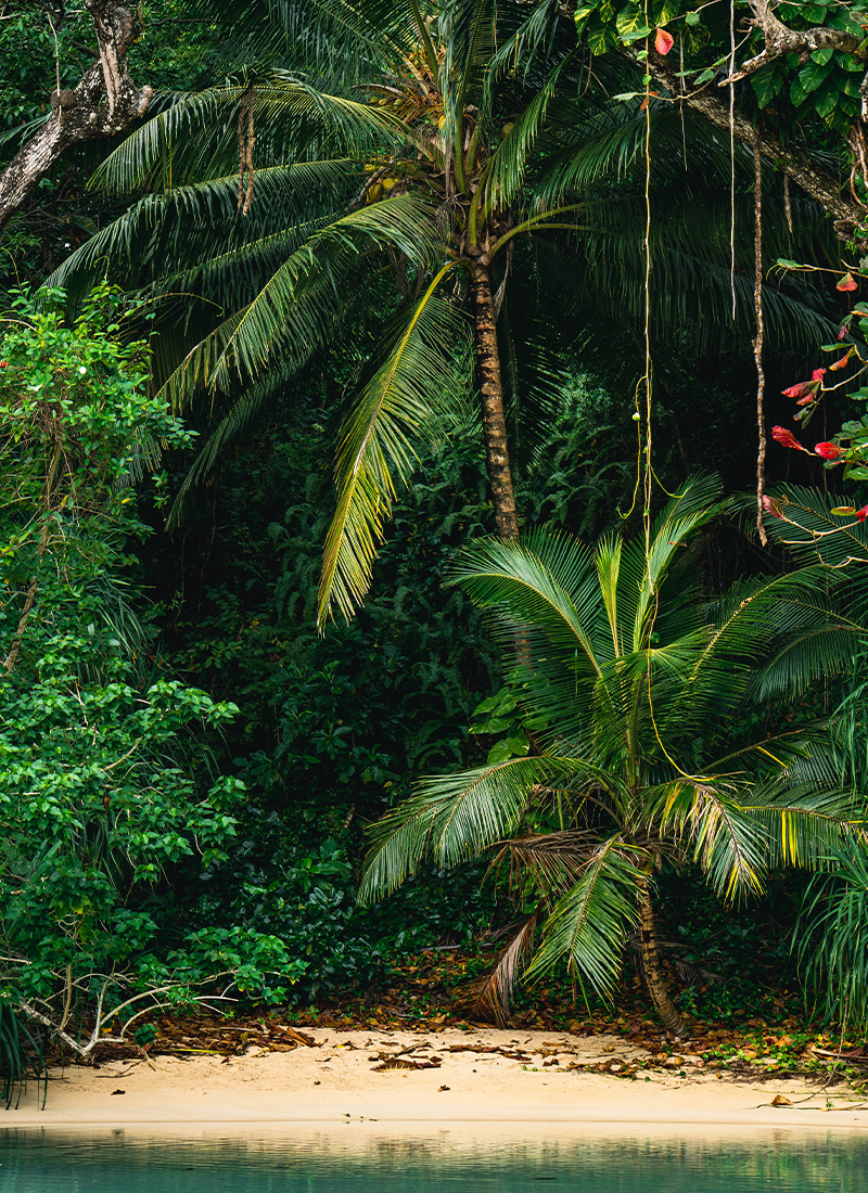 Jamaica